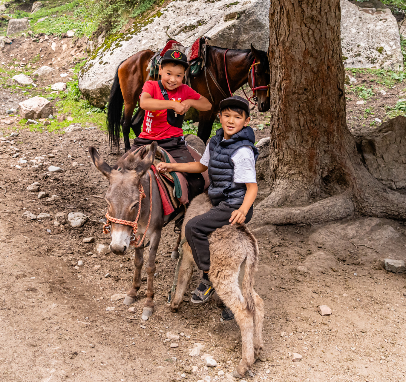 Donkey_Buddies